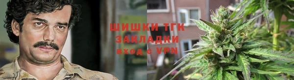 прущие грибы Алзамай