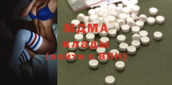прущие грибы Алзамай