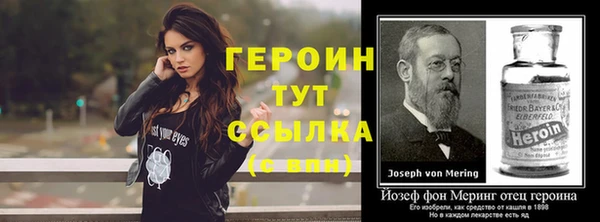 ешки Алексин