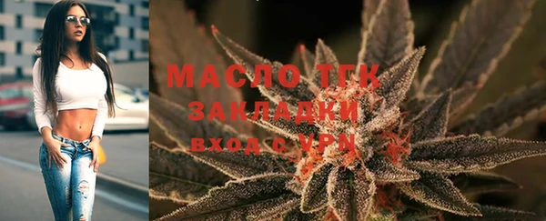 прущие грибы Алзамай