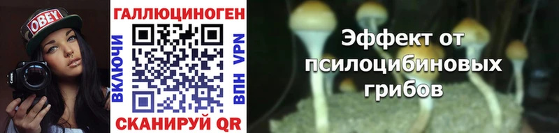 Псилоцибиновые грибы Psilocybe  Бавлы 